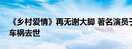 《乡村爱情》再无谢大脚 著名演员于月仙因车祸去世