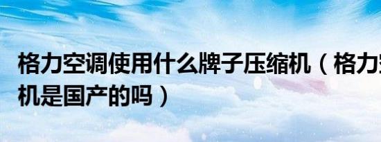 格力空调使用什么牌子压缩机（格力空调压缩机是国产的吗）