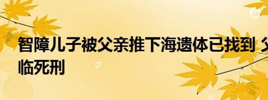 智障儿子被父亲推下海遗体已找到 父亲或面临死刑