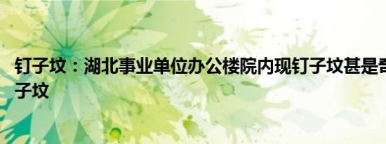 钉子坟：湖北事业单位办公楼院内现钉子坟甚是奇葩 最牛钉子坟