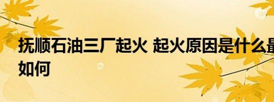 抚顺石油三厂起火 起火原因是什么最终结果如何