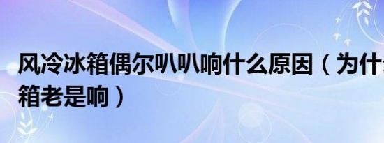 风冷冰箱偶尔叭叭响什么原因（为什么风冷冰箱老是响）