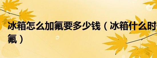 冰箱怎么加氟要多少钱（冰箱什么时候需要加氟）