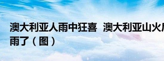 澳大利亚人雨中狂喜 澳大利亚山火后终于下雨了（图）