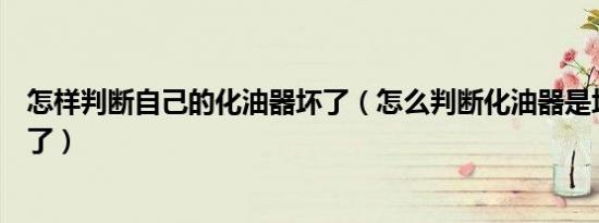 怎样判断自己的化油器坏了（怎么判断化油器是坏了还是脏了）