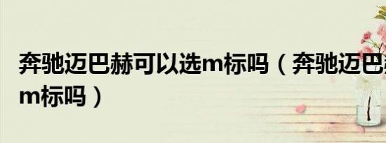 奔驰迈巴赫可以选m标吗（奔驰迈巴赫可以选m标吗）