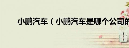 小鹏汽车（小鹏汽车是哪个公司的）
