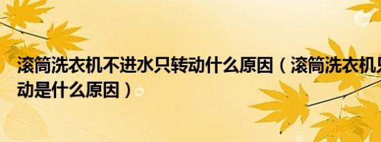 滚筒洗衣机不进水只转动什么原因（滚筒洗衣机只进水不转动是什么原因）