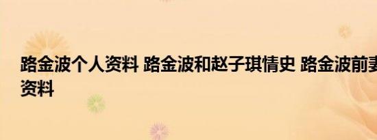 路金波个人资料 路金波和赵子琪情史 路金波前妻王蕾个人资料