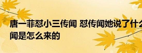 唐一菲怼小三传闻 怼传闻她说了什么小三传闻是怎么来的
