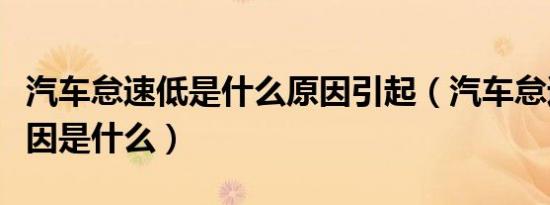 汽车怠速低是什么原因引起（汽车怠速低的原因是什么）