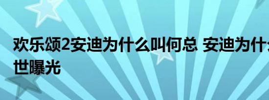 欢乐颂2安迪为什么叫何总 安迪为什么害怕身世曝光