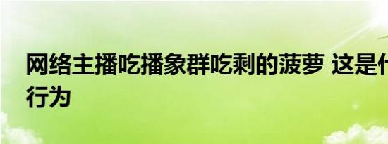 网络主播吃播象群吃剩的菠萝 这是什么奇葩行为
