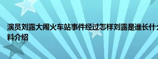 演员刘露大闹火车站事件经过怎样刘露是谁长什么样个人资料介绍