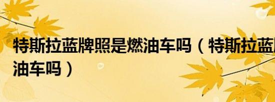 特斯拉蓝牌照是燃油车吗（特斯拉蓝牌照是燃油车吗）