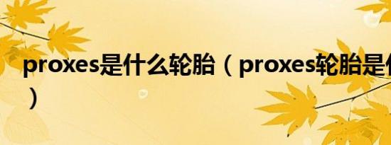 proxes是什么轮胎（proxes轮胎是什么牌子）