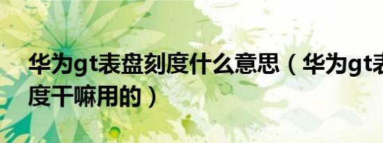华为gt表盘刻度什么意思（华为gt表盘上刻度干嘛用的）