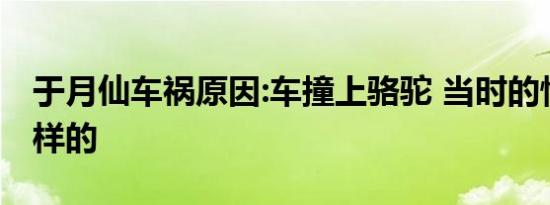 于月仙车祸原因:车撞上骆驼 当时的情况是怎样的
