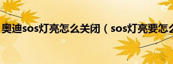 奥迪sos灯亮怎么关闭（sos灯亮要怎么处理）