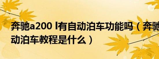 奔驰a200 l有自动泊车功能吗（奔驰a200自动泊车教程是什么）
