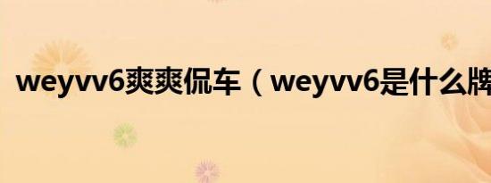 weyvv6爽爽侃车（weyvv6是什么牌的车）