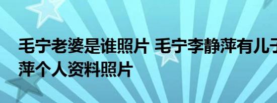 毛宁老婆是谁照片 毛宁李静萍有儿子吗李静萍个人资料照片