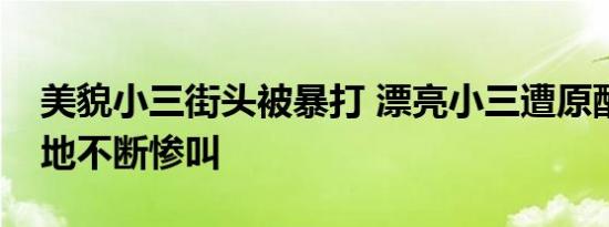 美貌小三街头被暴打 漂亮小三遭原配打趴在地不断惨叫