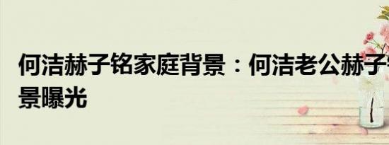 何洁赫子铭家庭背景：何洁老公赫子铭家庭背景曝光
