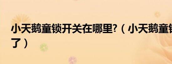 小天鹅童锁开关在哪里?（小天鹅童锁解除不了）