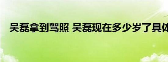 吴磊拿到驾照 吴磊现在多少岁了具体情况