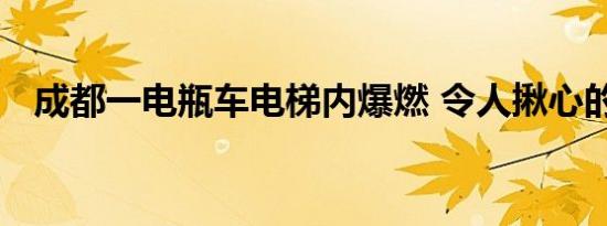 成都一电瓶车电梯内爆燃 令人揪心的一幕