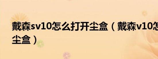 戴森sv10怎么打开尘盒（戴森v10怎么打开尘盒）