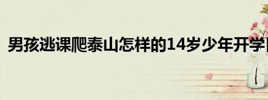 男孩逃课爬泰山怎样的14岁少年开学日逃课