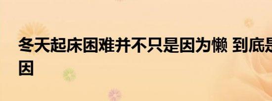 冬天起床困难并不只是因为懒 到底是什么原因