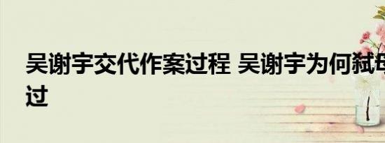 吴谢宇交代作案过程 吴谢宇为何弑母事情经过