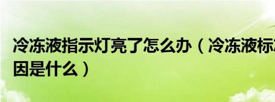 冷冻液指示灯亮了怎么办（冷冻液标志亮了原因是什么）