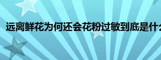 远离鲜花为何还会花粉过敏到底是什么原因