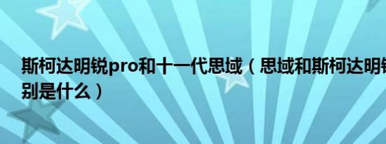 斯柯达明锐pro和十一代思域（思域和斯柯达明锐pro的区别是什么）