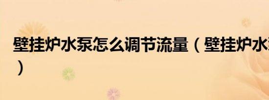 壁挂炉水泵怎么调节流量（壁挂炉水泵怎么调）