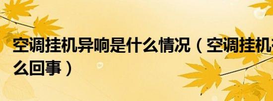 空调挂机异响是什么情况（空调挂机有异响怎么回事）