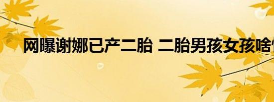 网曝谢娜已产二胎 二胎男孩女孩啥情况