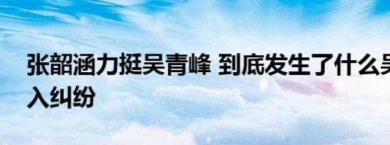张韶涵力挺吴青峰 到底发生了什么吴青峰陷入纠纷