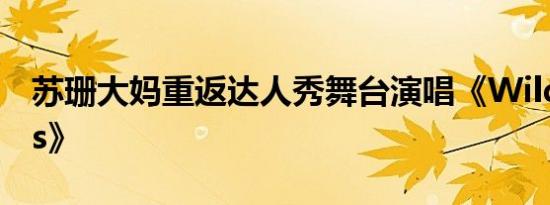苏珊大妈重返达人秀舞台演唱《Wild Horses》