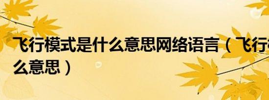飞行模式是什么意思网络语言（飞行模式是什么意思）