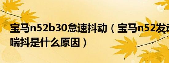 宝马n52b30怠速抖动（宝马n52发动机怠速喘抖是什么原因）