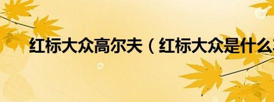 红标大众高尔夫（红标大众是什么车）