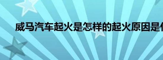 威马汽车起火是怎样的起火原因是什么