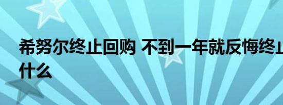 希努尔终止回购 不到一年就反悔终止原因是什么