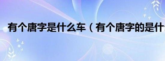 有个唐字是什么车（有个唐字的是什么车）