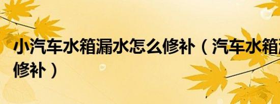 小汽车水箱漏水怎么修补（汽车水箱漏水怎么修补）